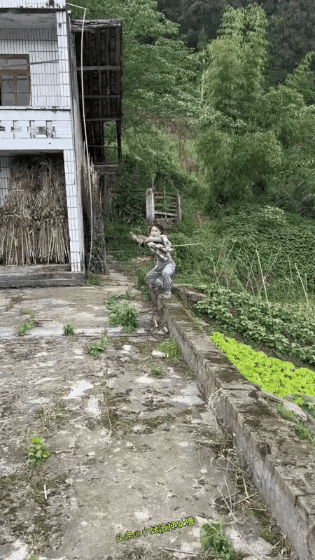 不带对象回农村，原来是有原因的！ ​​​
