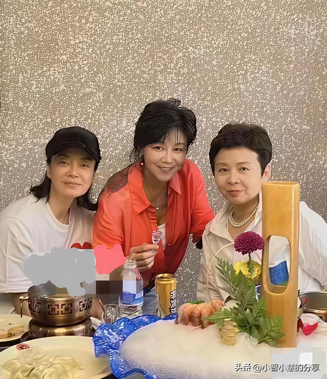 三位歌唱家里，毛阿敏的颜值最普通，但她的气质最好，唱的歌多数都是经典，如果她的气