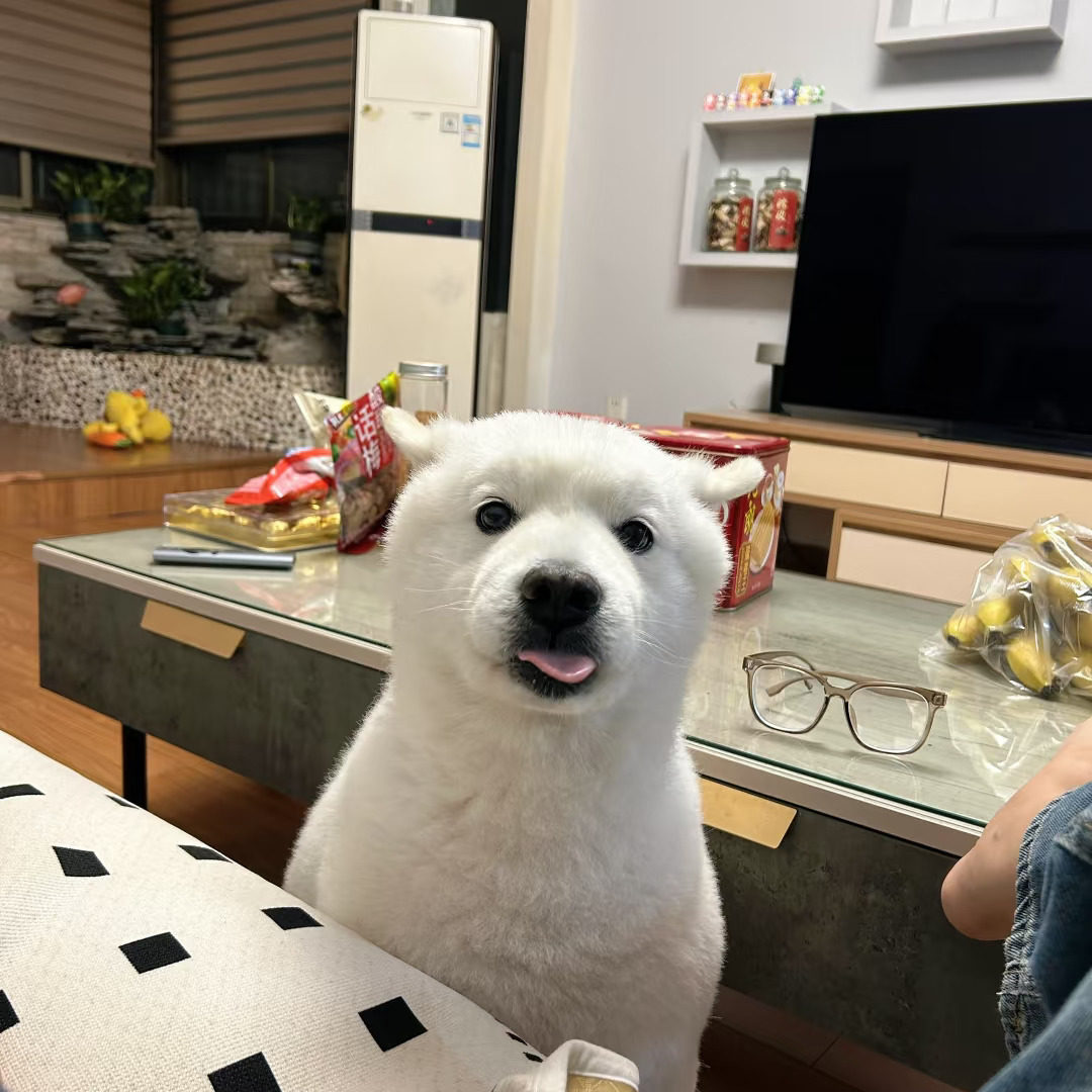 你是我回家的期待呀