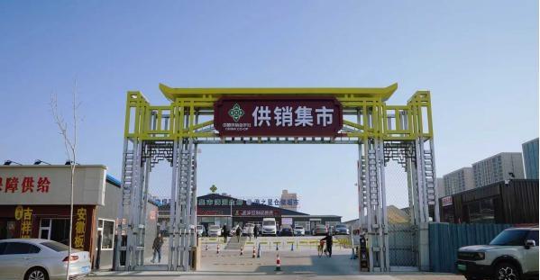 国疆供销和乡建院这回是带着真金白银的方案来的。

        4月21日，安