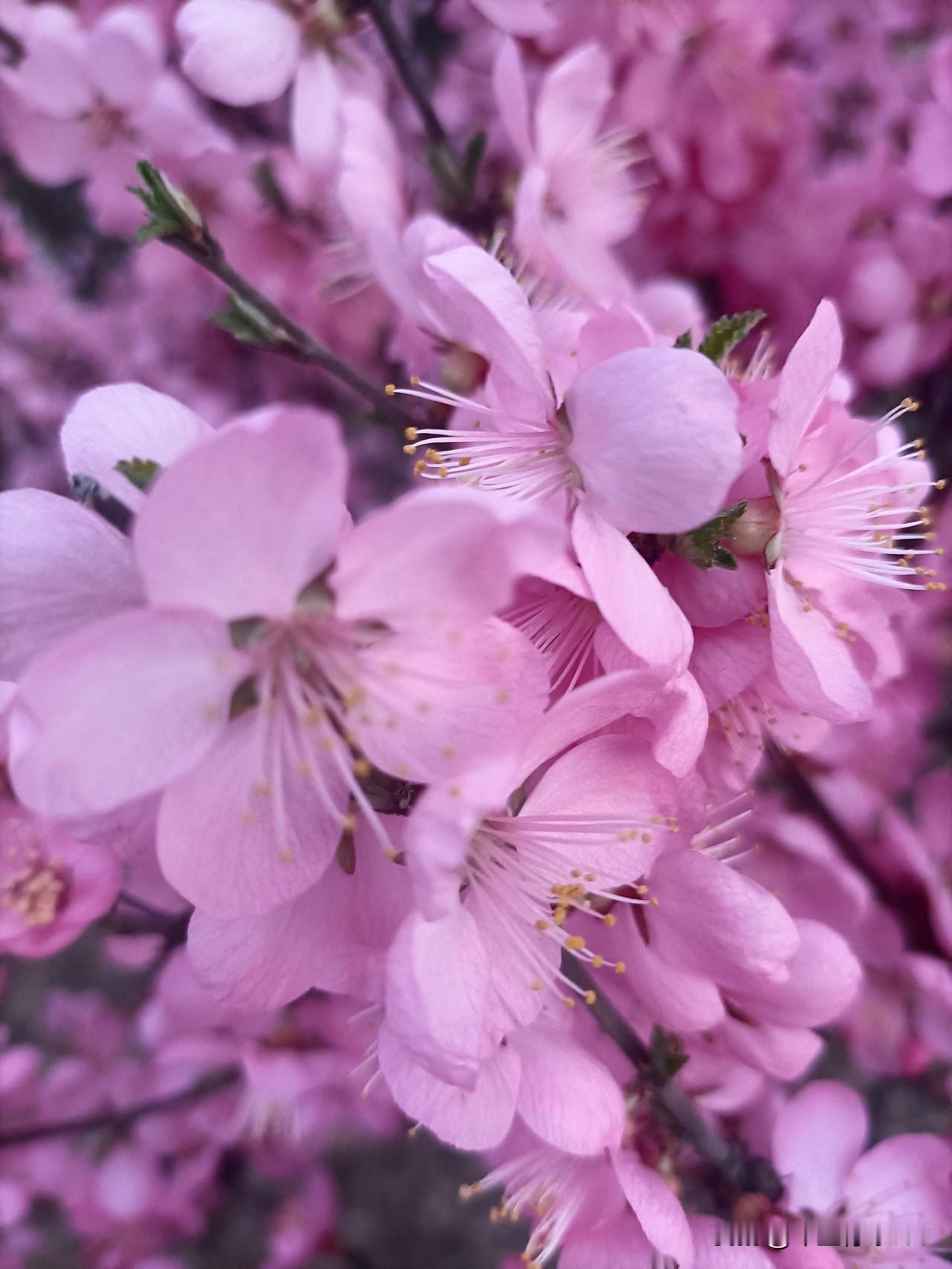 人生最好的投资，就是爱惜自己。健康存下底气，快乐积攒福气，愿你身心皆安，万事都顺