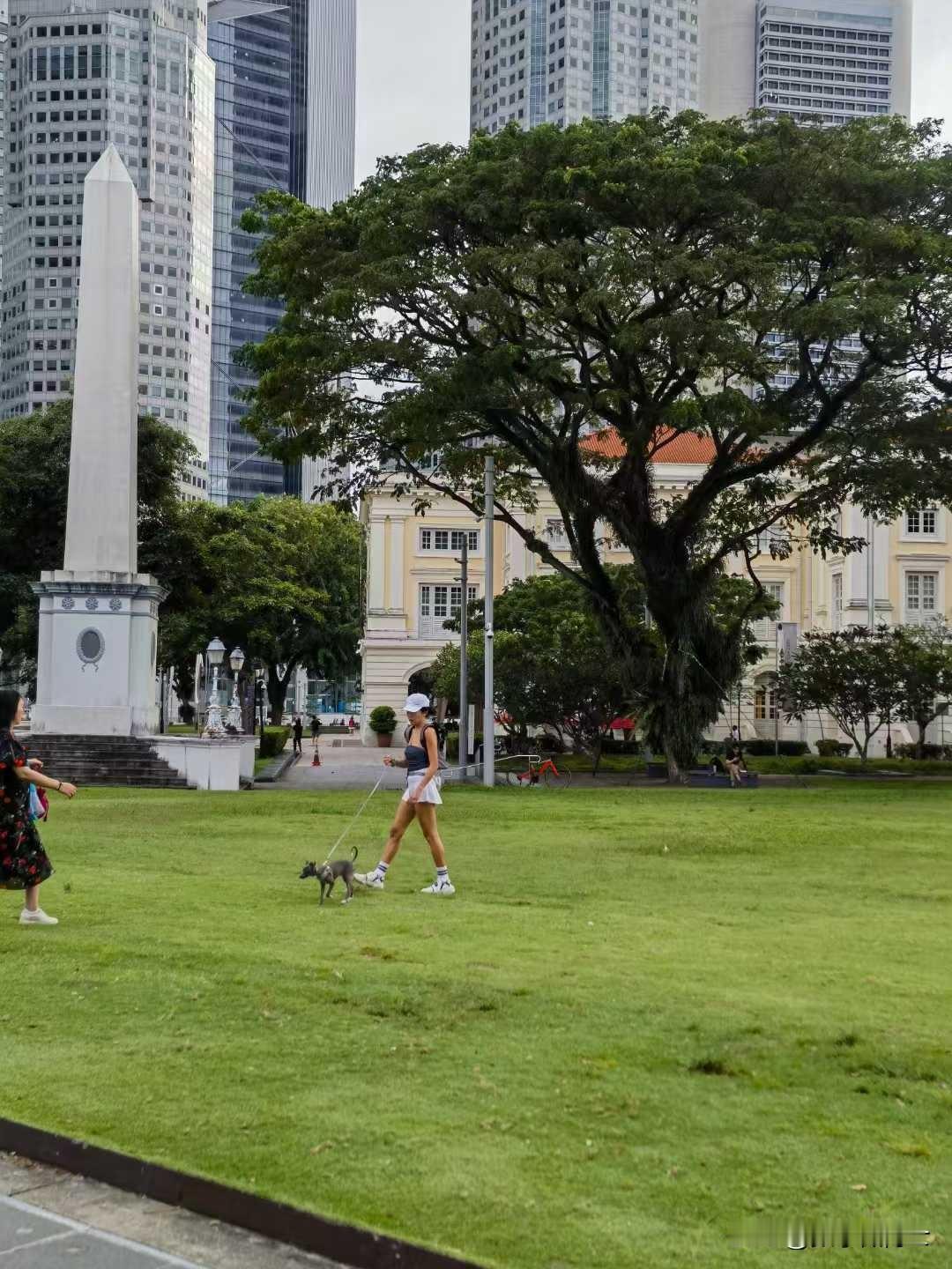 在这个具有特殊意义的日子里，我陷入了深深的沉思，脑海中不禁浮现出了那些英勇无畏的