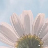 生活手记记住这个世界的温柔：所有的疲惫，你放下了，这题就解了~” 