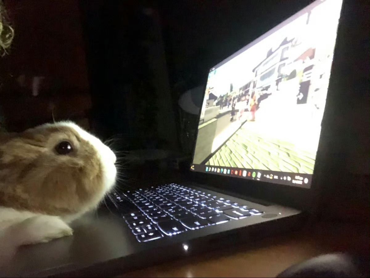 苏心好打之前苏心好打之后 