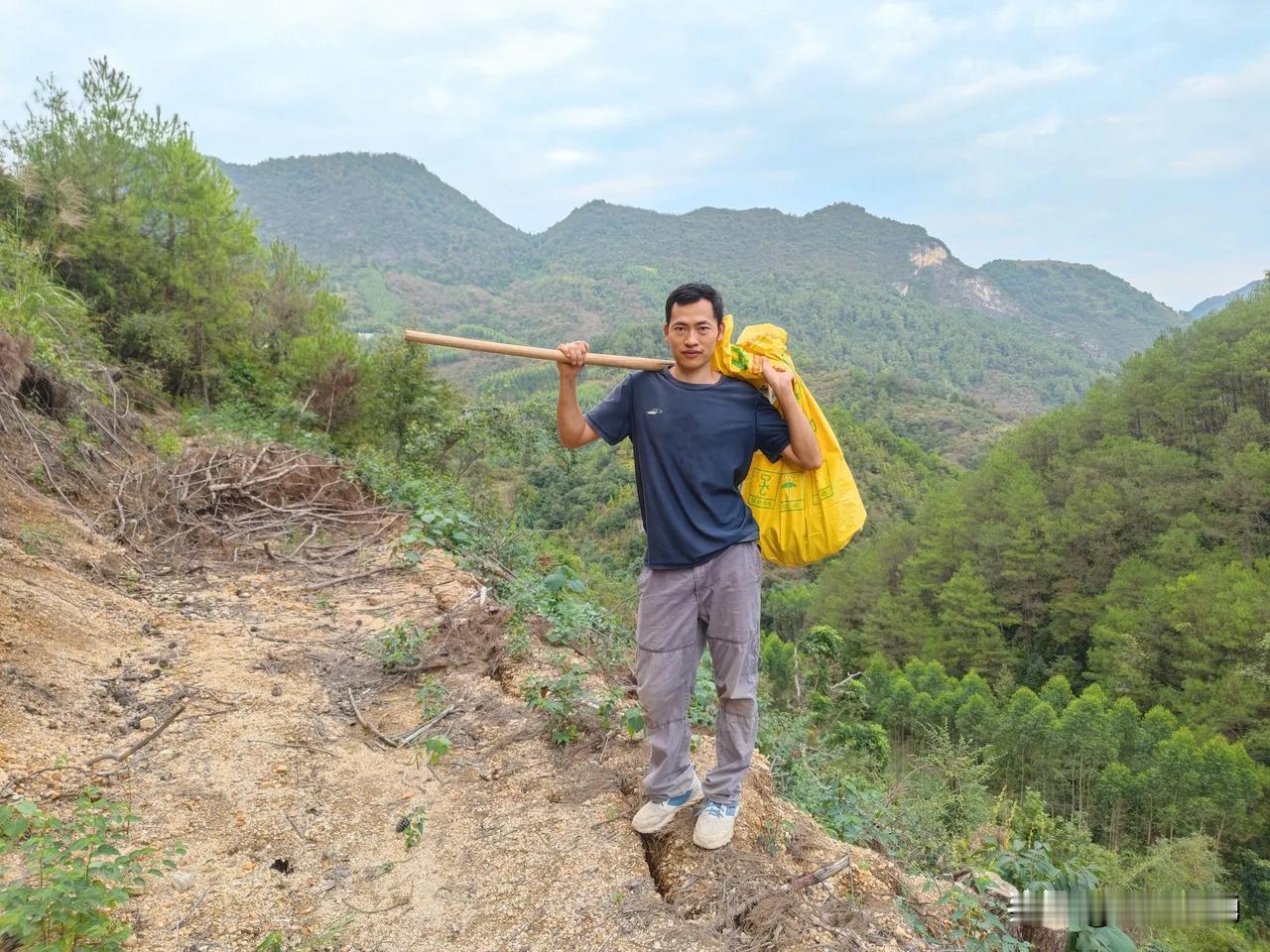 这几天小勇都是爬到高山上去挖这个野生的土茯苓，五指毛桃，广东大老板要这种东西来煲