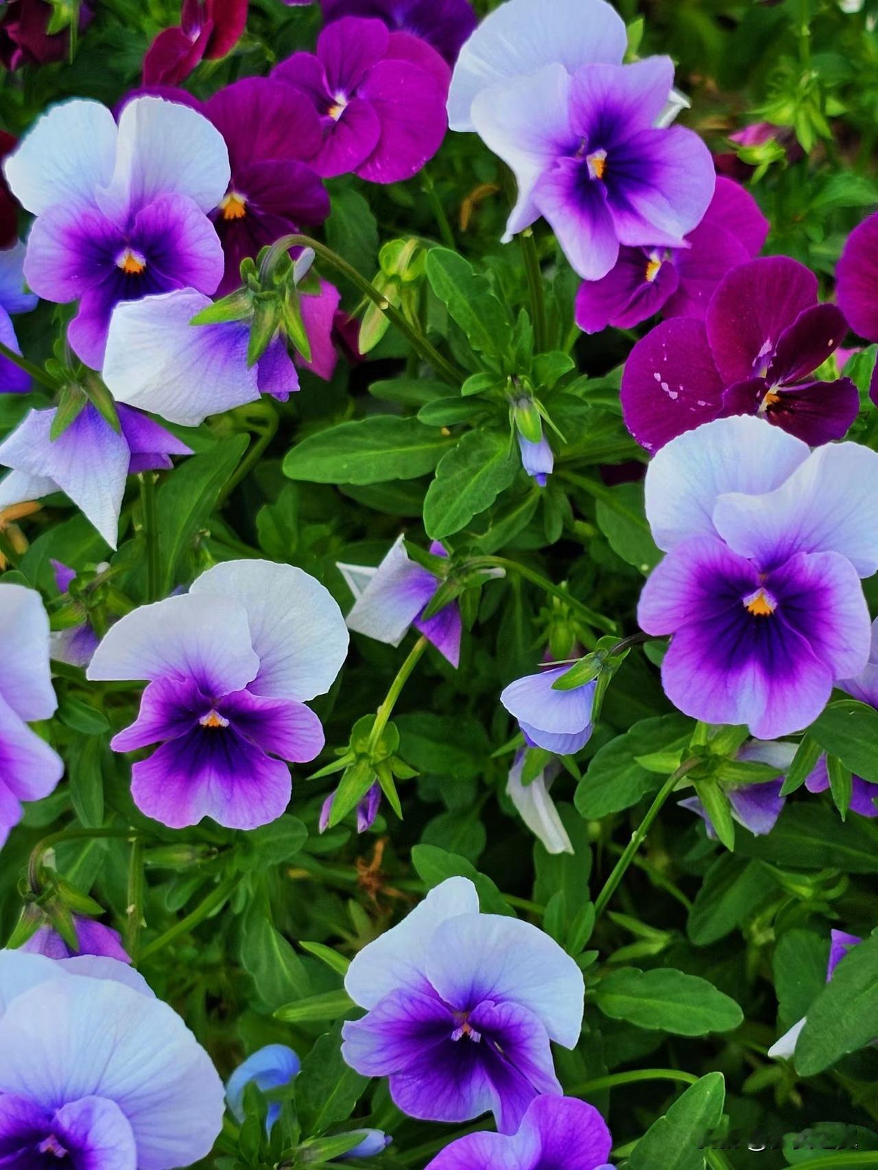 【小对联】
上：久仰久仰；
下：……？