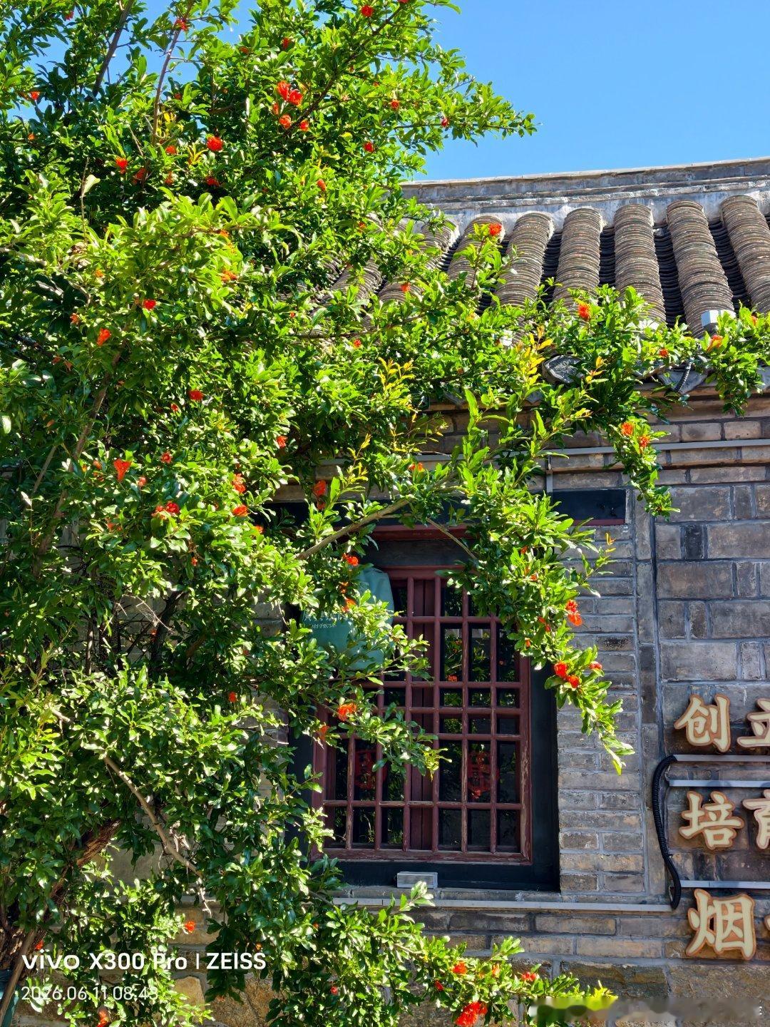 风遇花，夏遇光，我遇美好🌿 