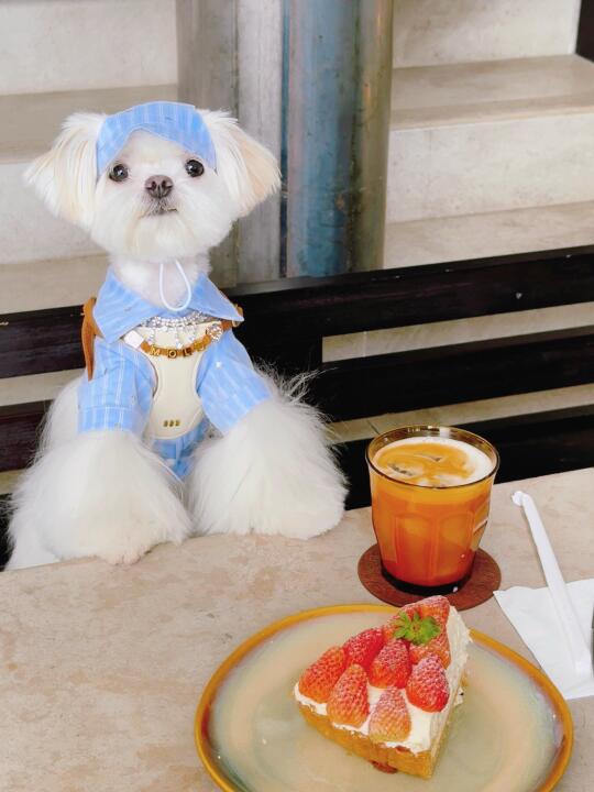 泥嚎，我可以邀请你喝杯咖啡吗☕️