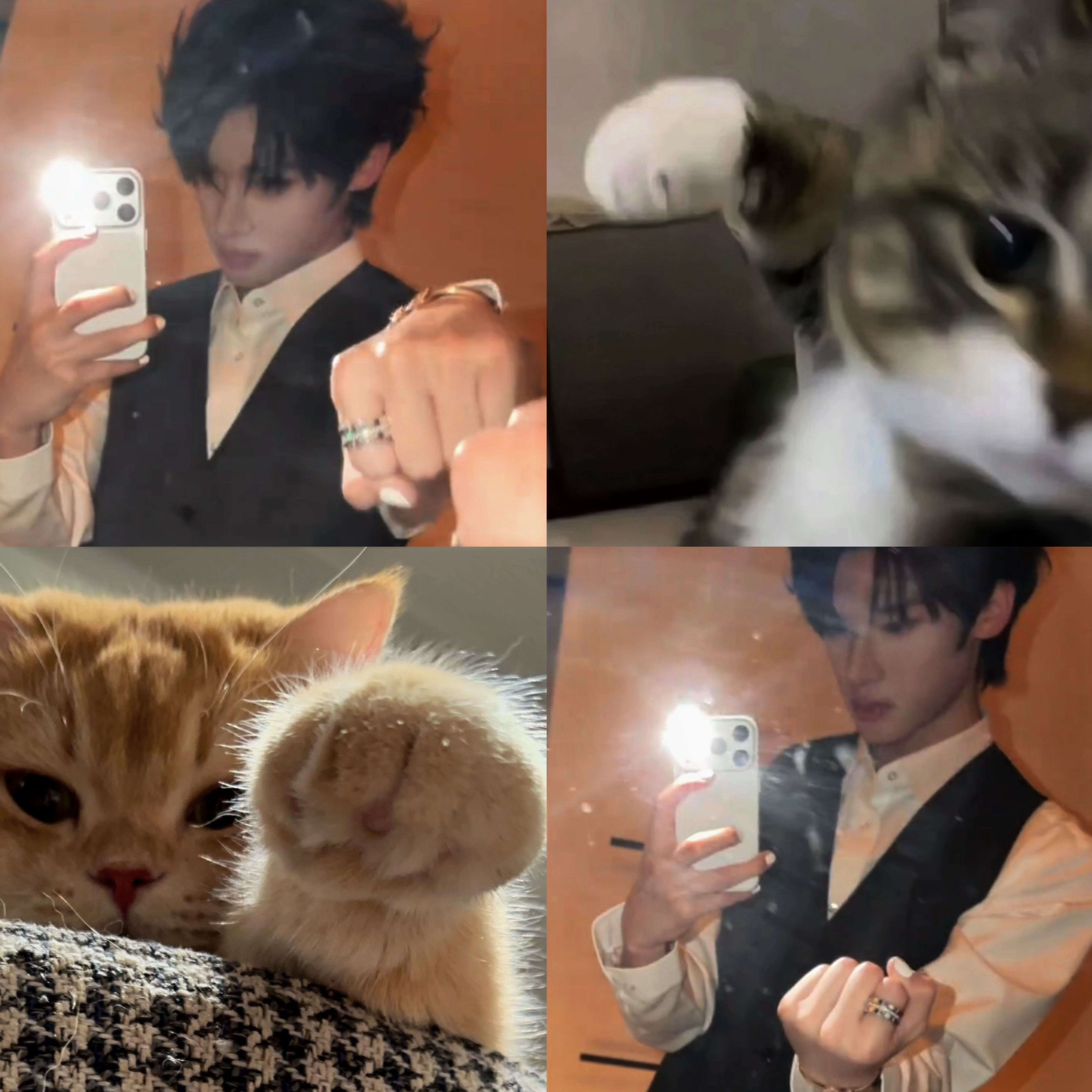 ꉂ ･ ･ ☆👊🏻👊🏻👊🏻👊🏻 
