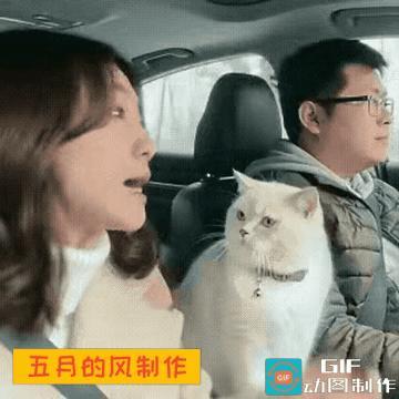 太搞笑了

老公在开车

老婆因琐事对老公开始滔滔不绝的数落

喋喋不休

唾沫