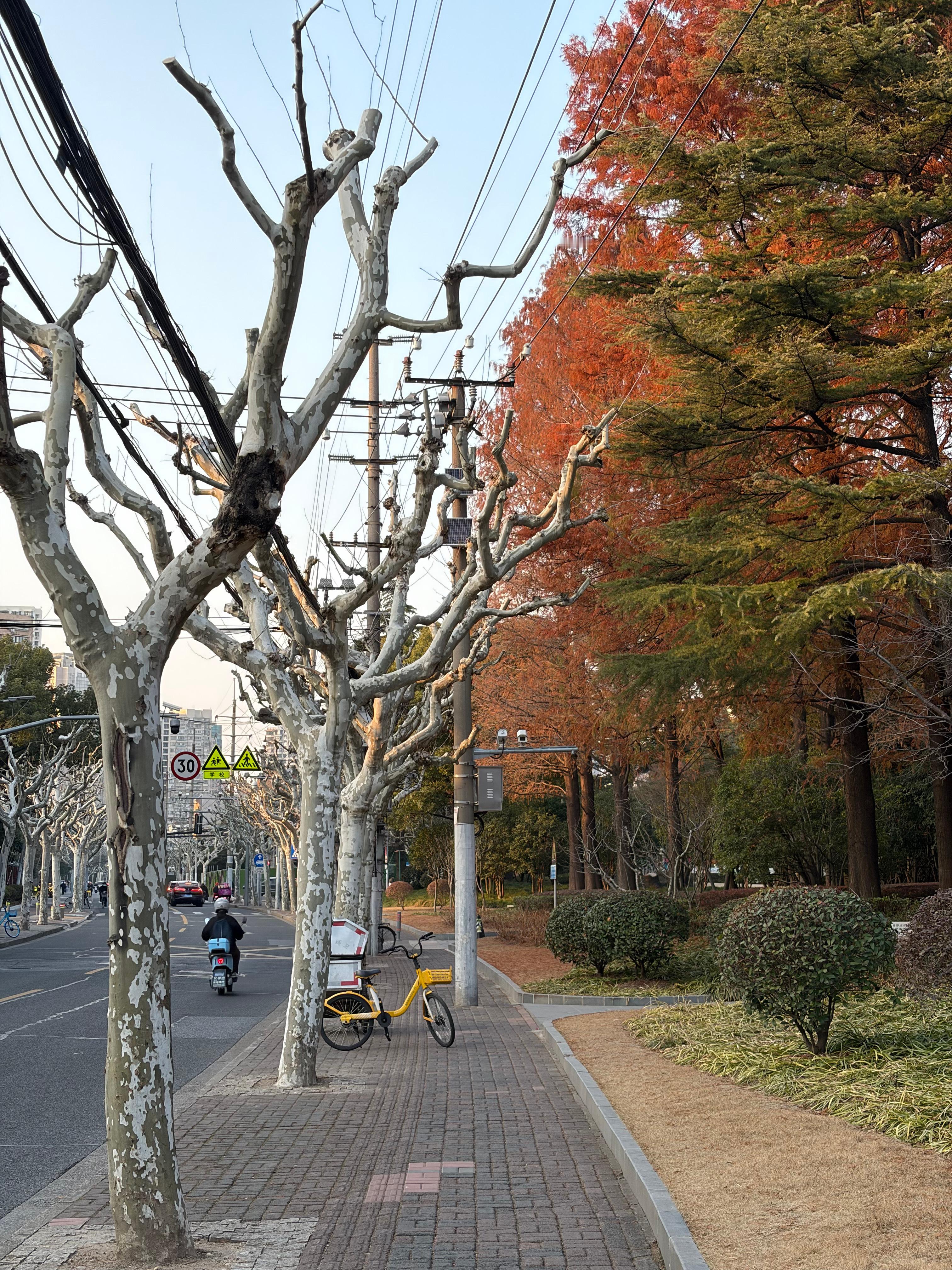 上海的年味大概就是逐渐冷清的街道，晚高峰一路畅通的交通春节摄影大赛春节回家路上