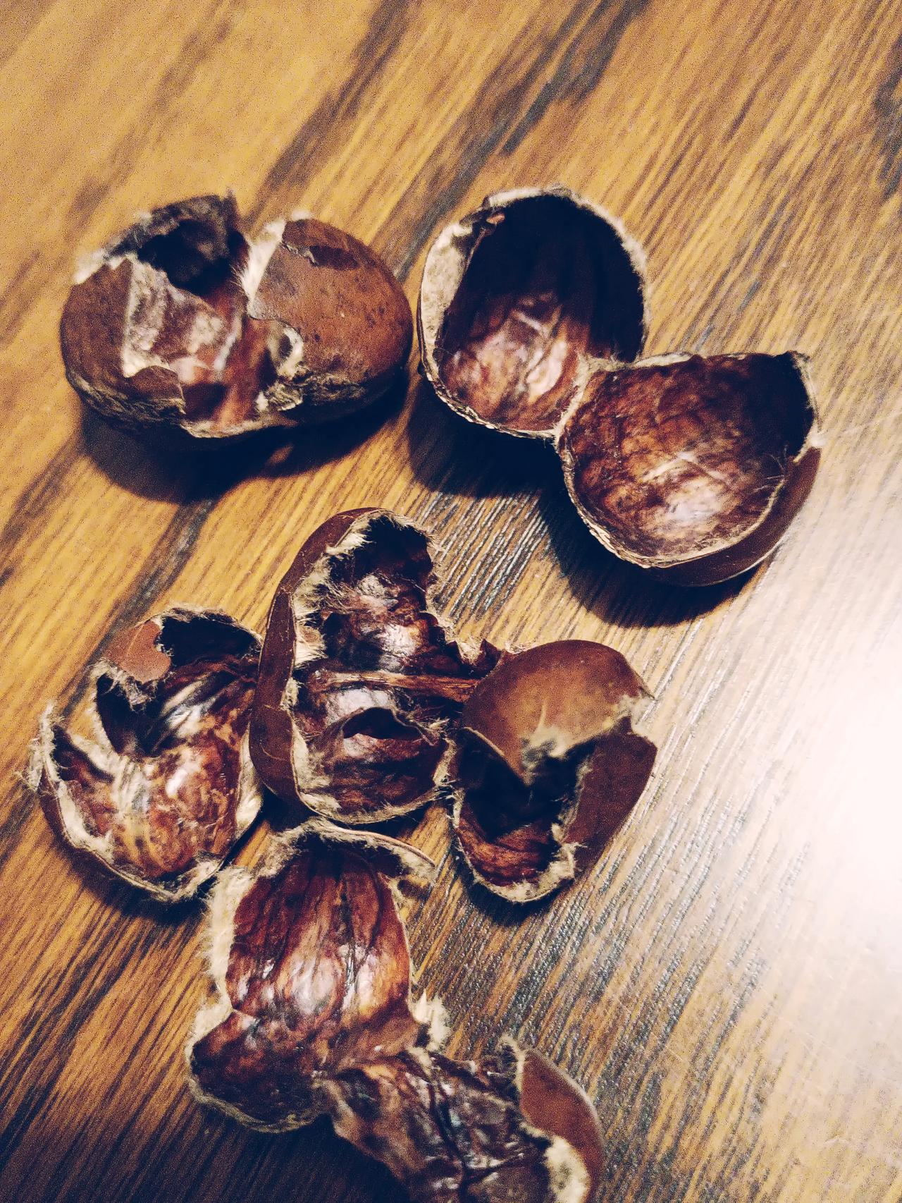 这个炒栗子水平在北京能排前十？