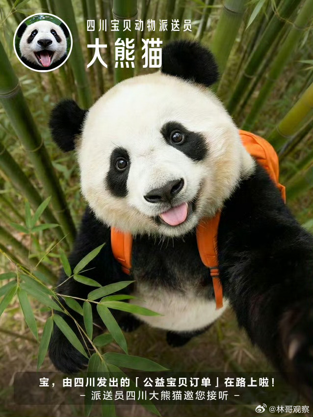 被骂了千年的小动物们该翻身了这个为小动物们“喊冤”的话题真挺有意思！狐狸是“纯爱