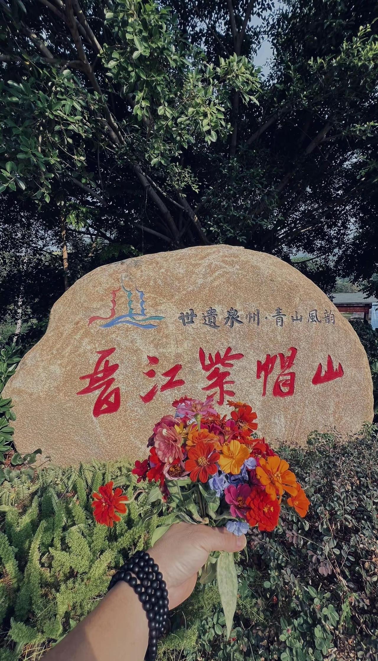 一路生花一生繁花 路边的野花你不要采啊！国庆节前最后一次刷紫帽山山顶⛰️花海 一