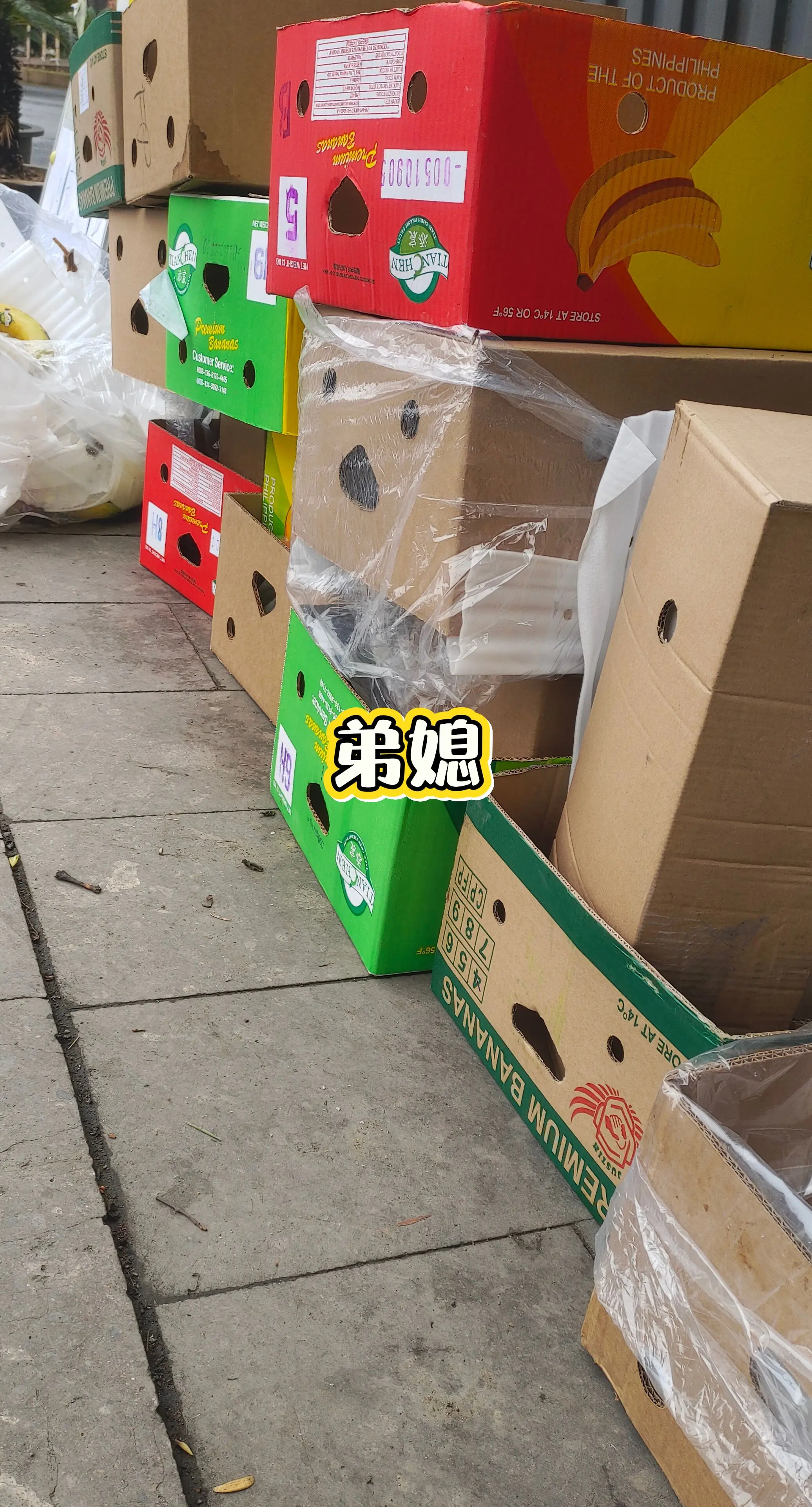 每日分享