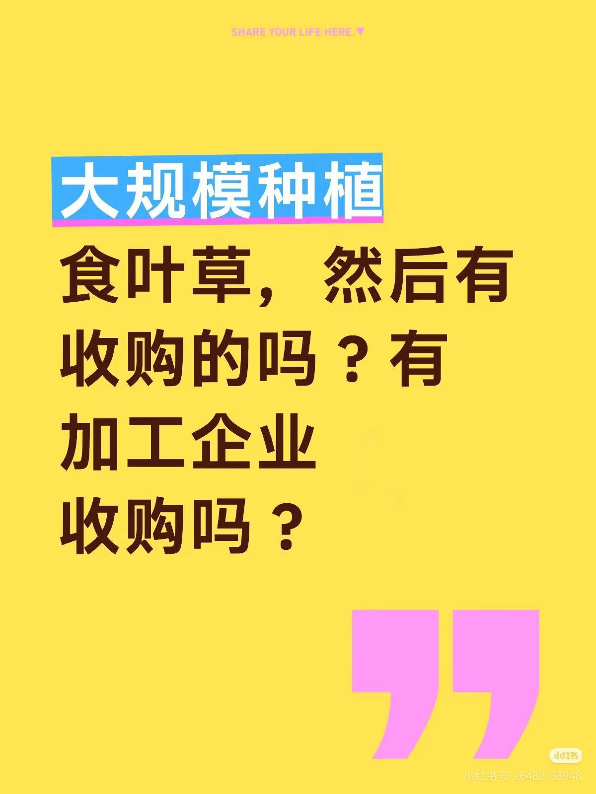 有收购食叶草的？我咋不信
