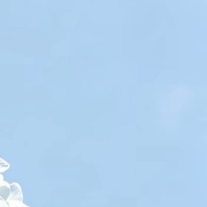 每日一善每日一善 人生就是一场修行，修的就是一颗心，珍惜今天，珍惜现在，风舞落叶