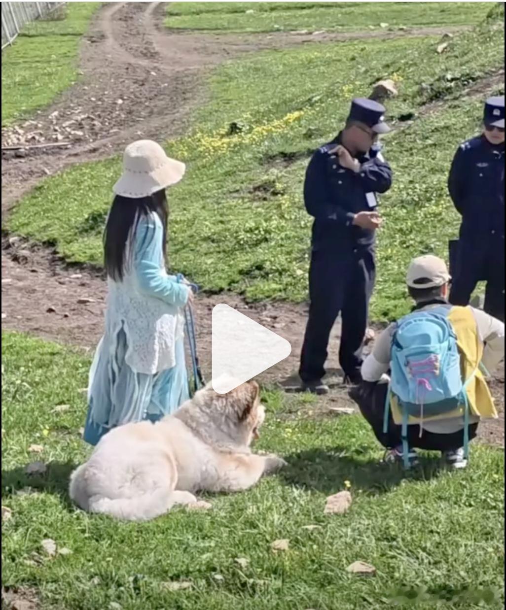 那拉提景区核心区域禁止宠物进入，尤其是大型犬类。游客携带的阿拉斯加犬咬伤小羊，最