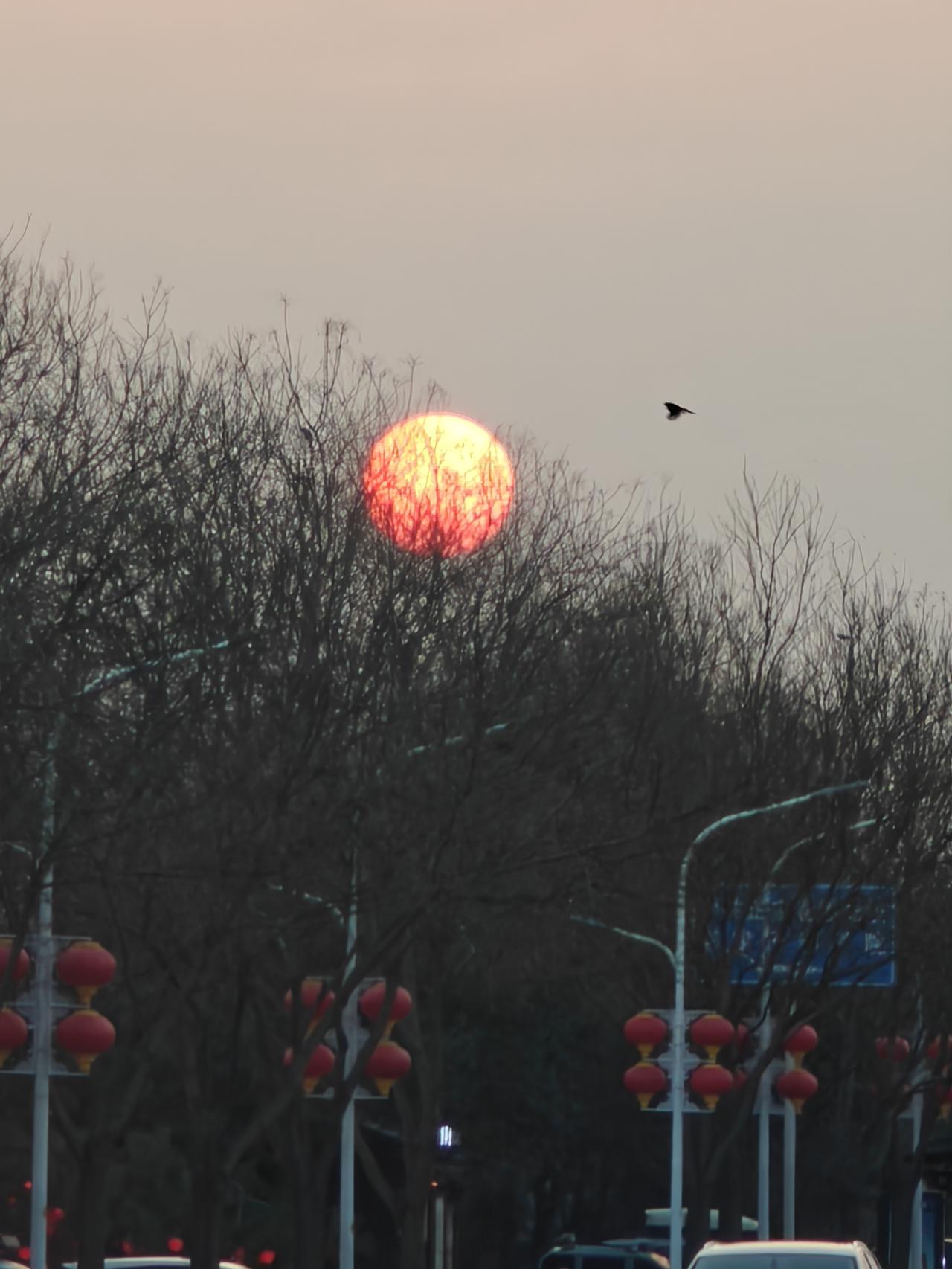 太阳每天都在升起落下，但是春天的太阳在我们的视觉里是悄悄发生着变化的，正如我们每