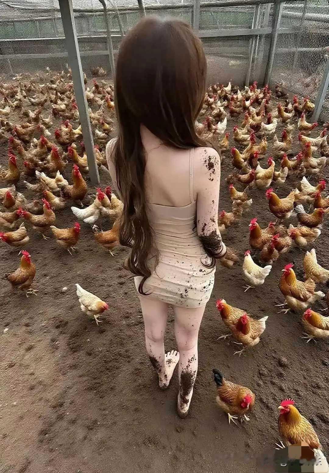 妹子你不适合开养鸡场啊，一看就是没有经验，弄的全身鸡粪。