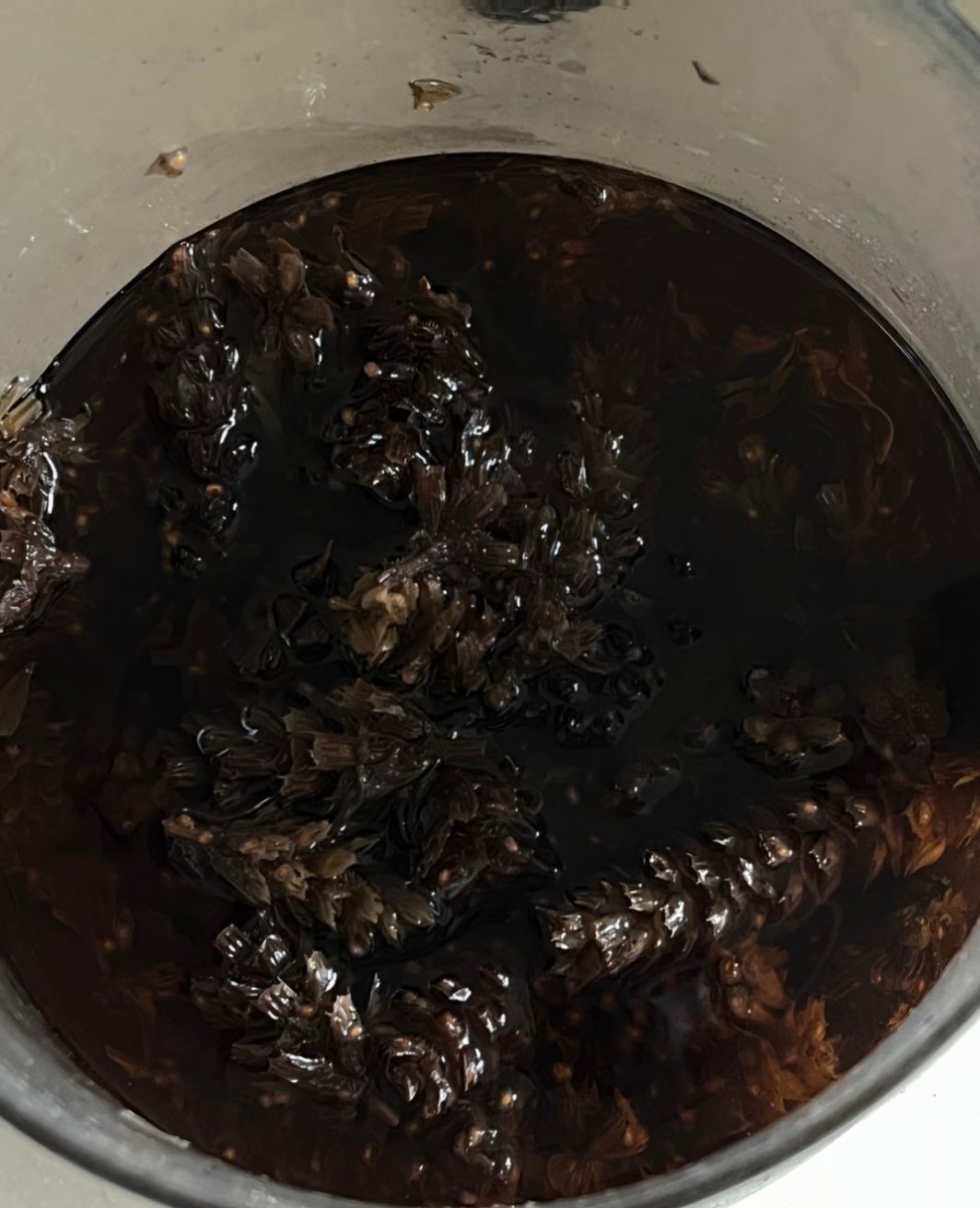 广东人就是爱喝凉茶，夏枯草：广东人专属小凉茶说起夏枯草，就会想起奶奶。小时候，一