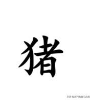 南通话中关于“猪”，如果指动物，一般说“猪子”，如果把人骂作猪，一般说“烧汤”，