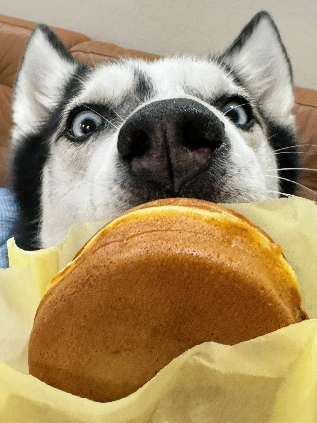 🇸🇬 Mr Bean的芋泥麻薯