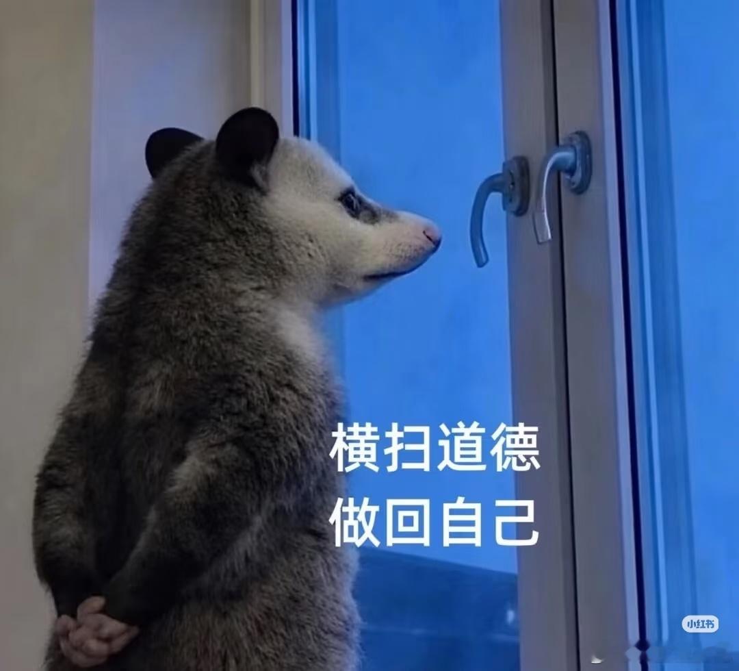 我这个人就是看脸，但会为了把看脸合理化，找各种理由……哈哈哈，比如演技好，人好，