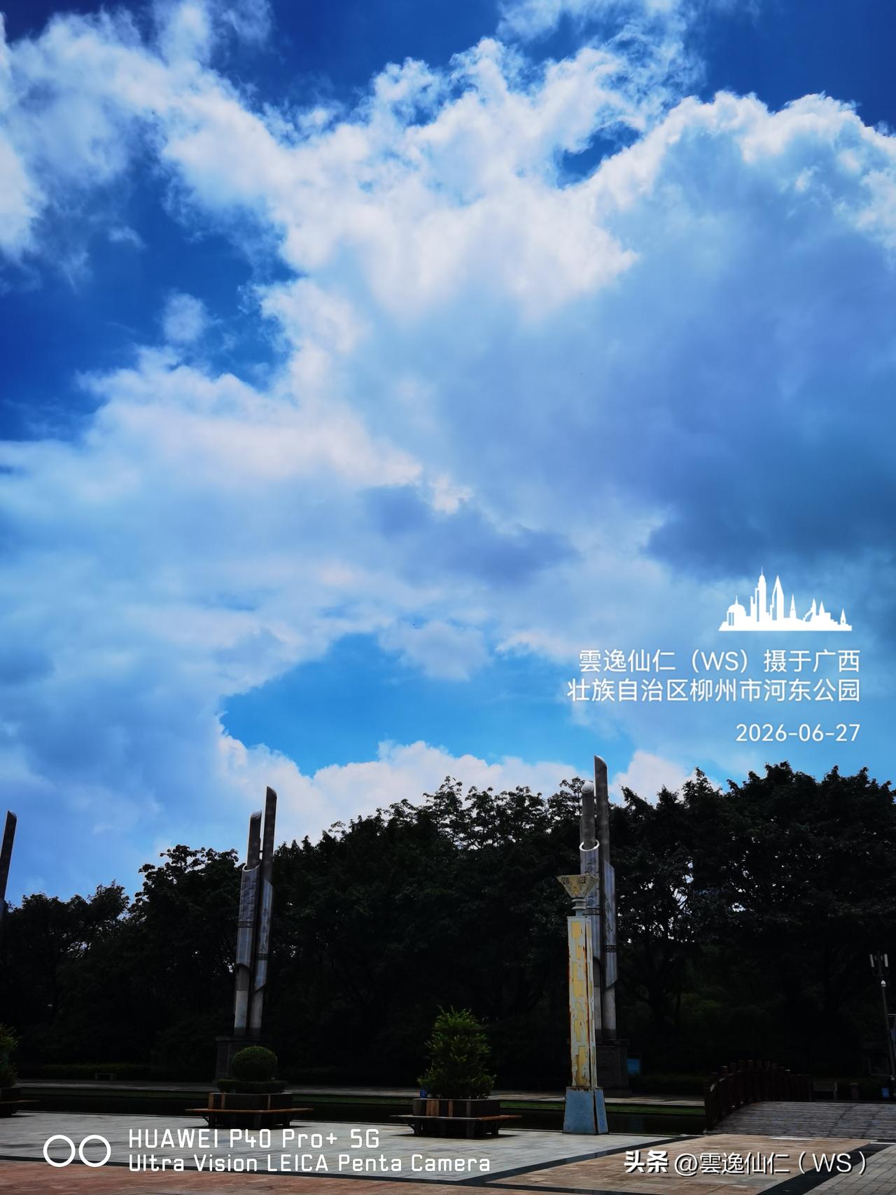 月居生活记录（10125）广西壮族自治区柳州市（162）：白绵羊、群龙聚会、白奶