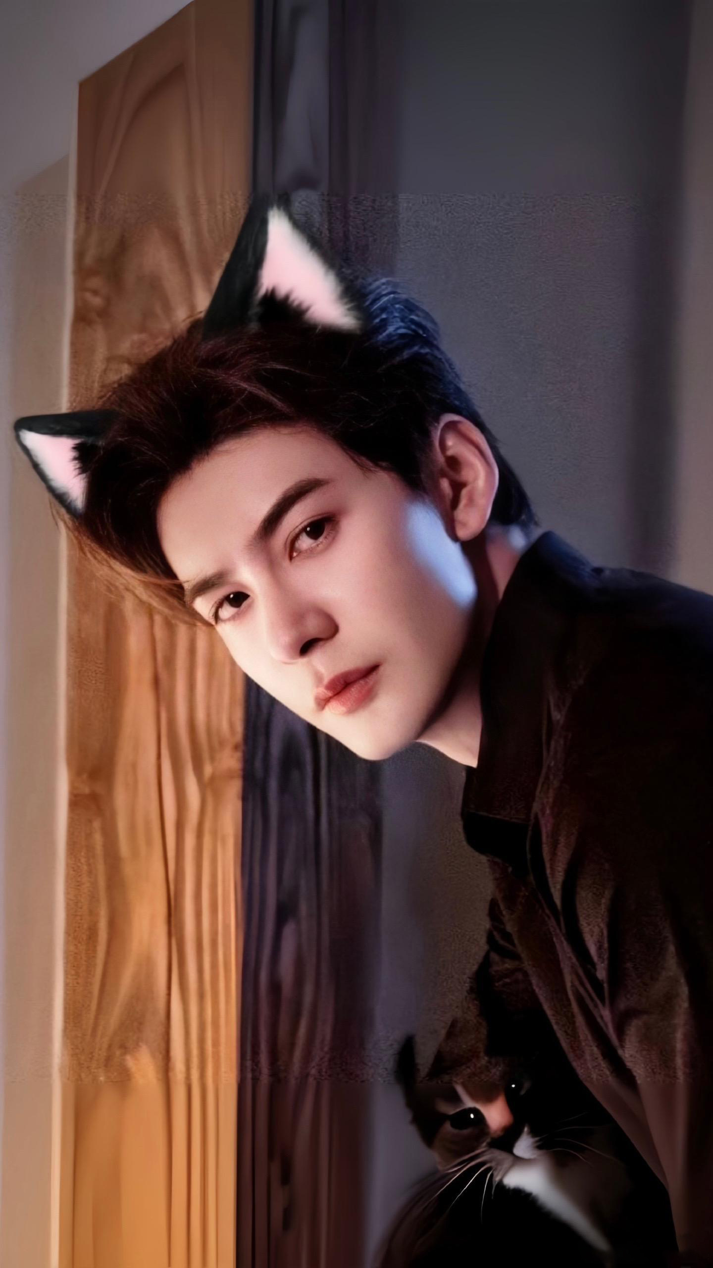 晚安  今晚的治愈暴击，是钱恒和他的咪👂🏻给的～✨连怼镜头的眼神都带着点傲娇