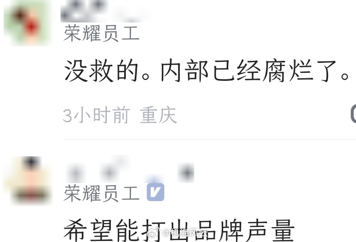 荣耀签约张雪机车的两位车手乐观的员工：希望打出品牌声量悲观的员工：没救了，内部已