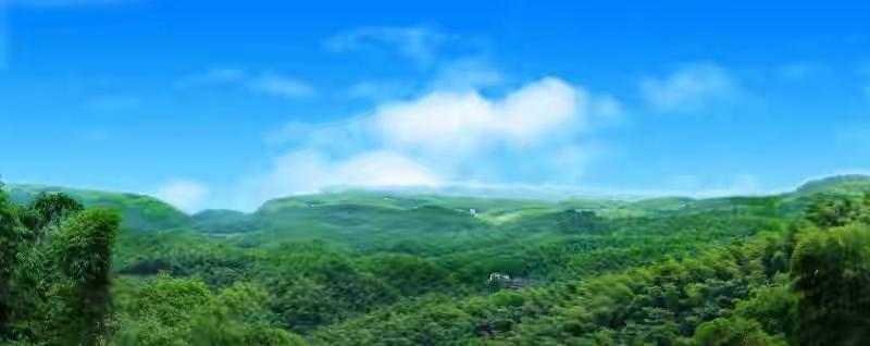 竹海变金海？生态赋能让我们“竹”出新天地！

大家好呀！今天咱们聊点不一样的——