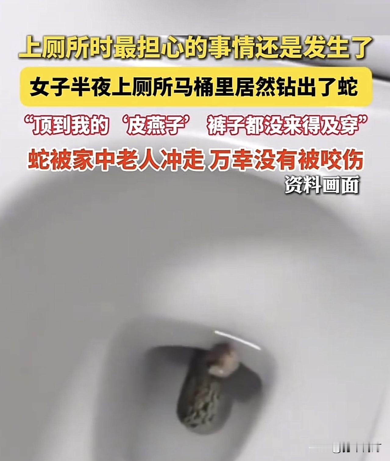 马桶里钻出条蛇！女子半夜如厕遭惊魂，裤子都没来得及穿！
太不可思议了！这种电影般