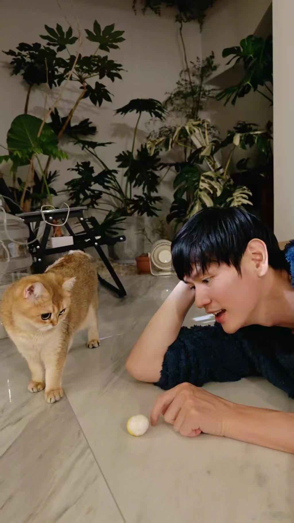 家有萌猫🐱不负每一次热爱 ​​​