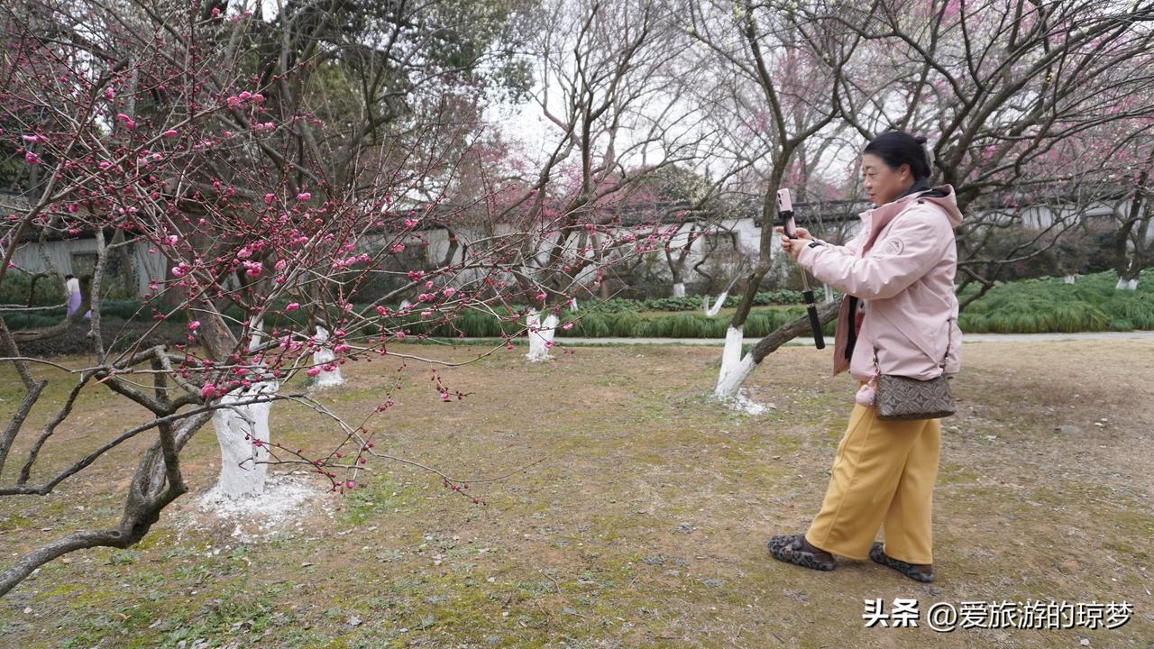生活趣事分享