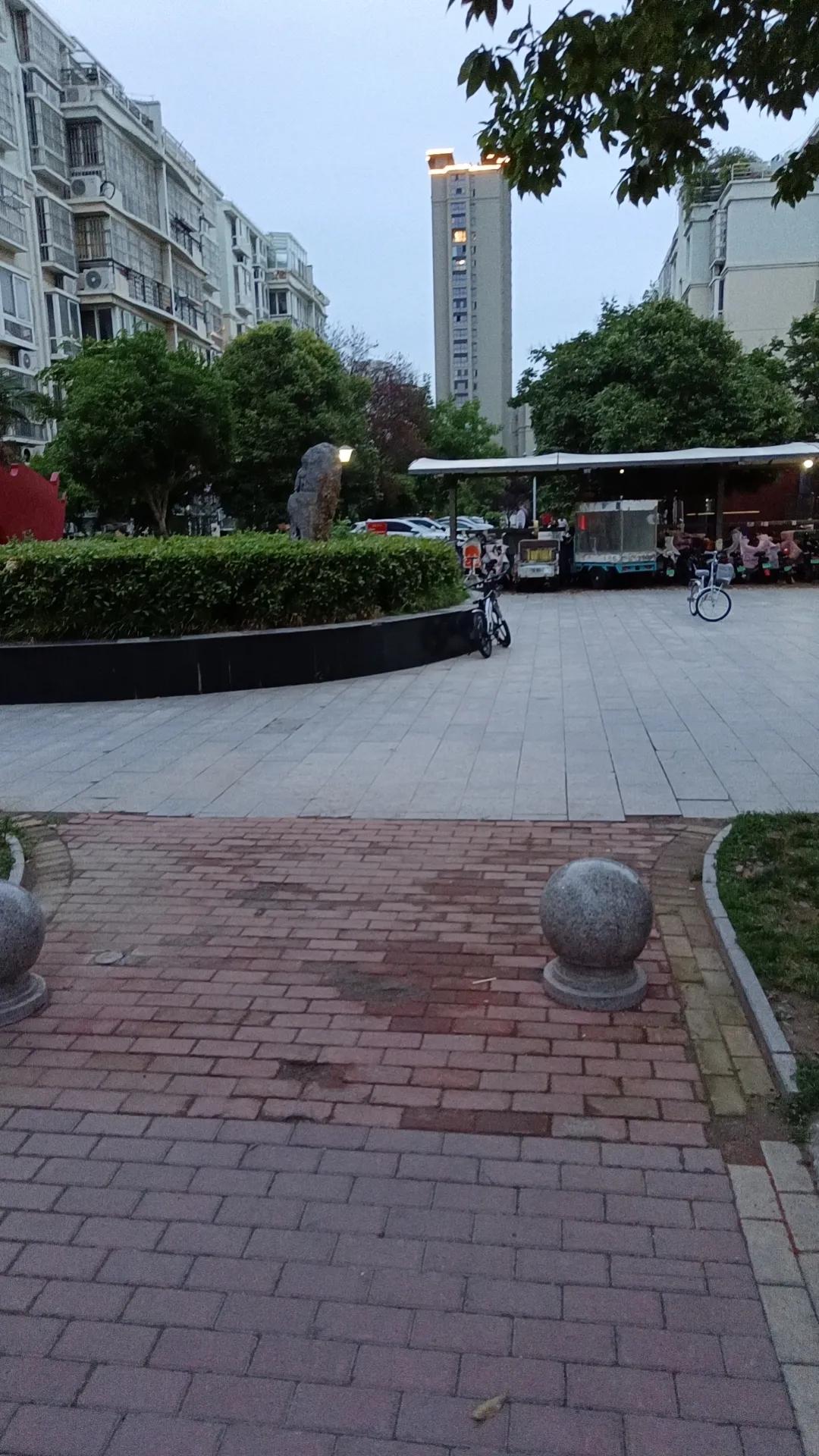 城市的夜晚，繁华与宁静交织。