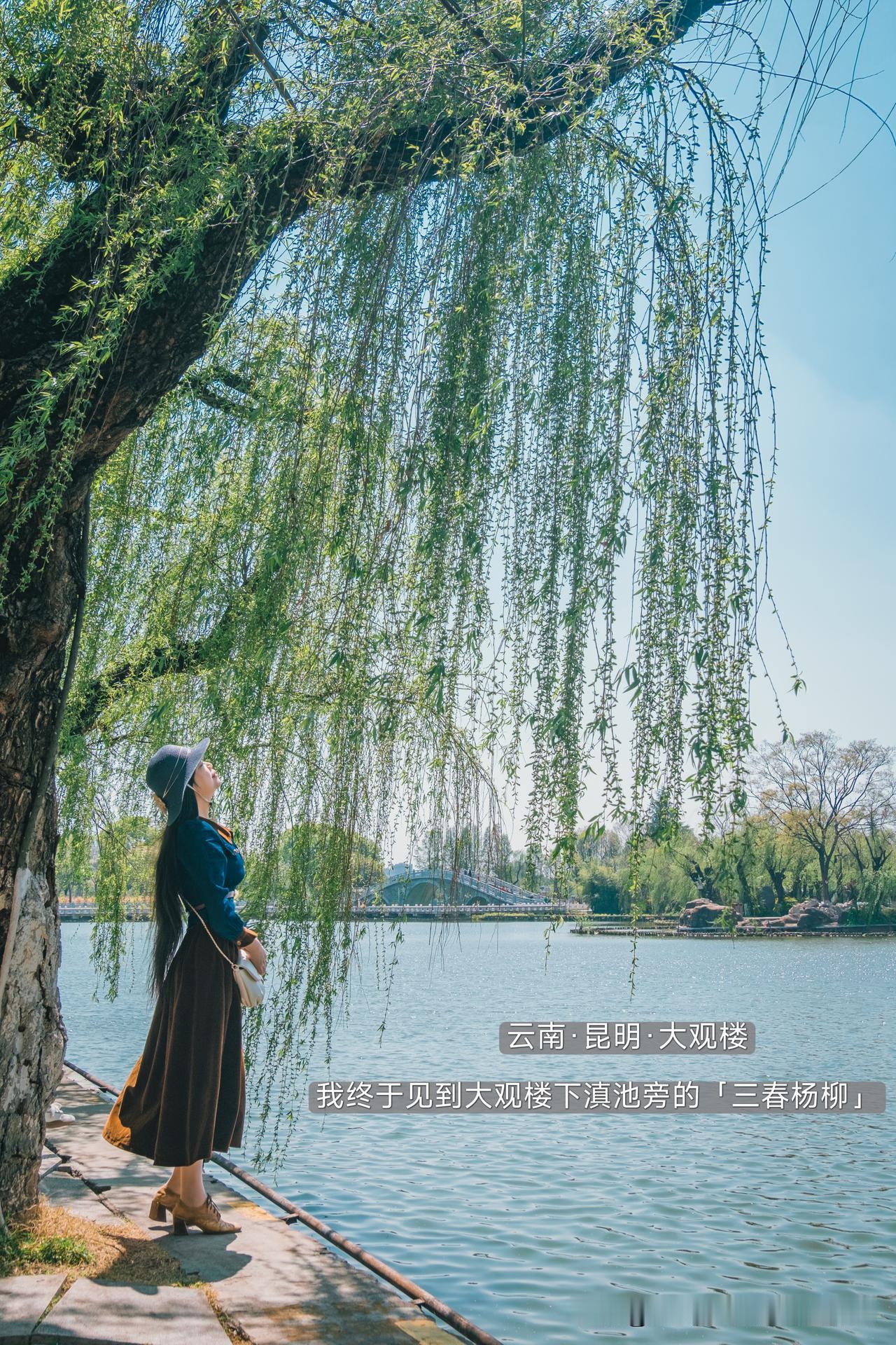 四月中国｜我见垂柳温柔，料垂柳见我如是

四月宜踏青，临水见垂柳。
给小伙伴分享