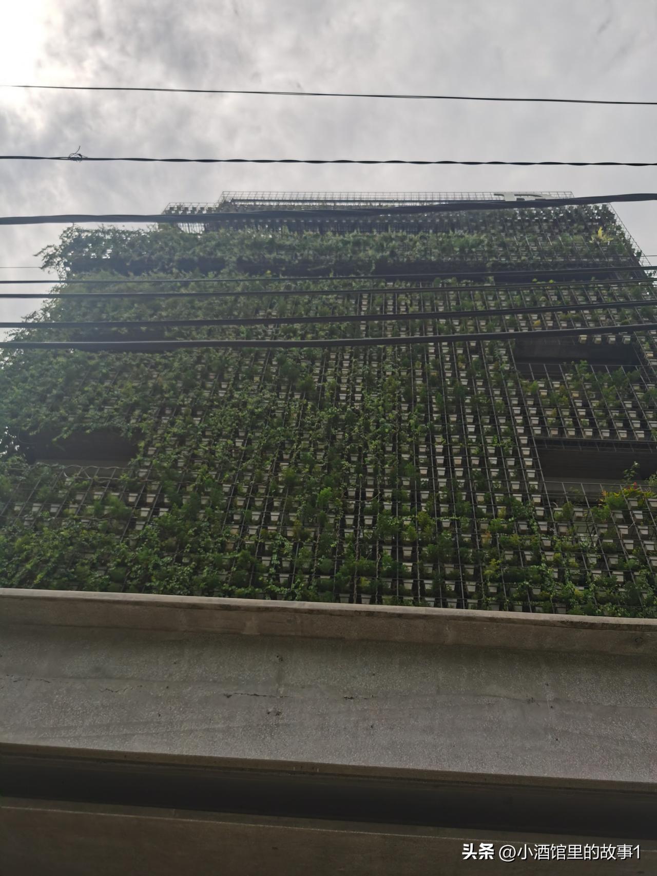 国家即将进入的第三代住房，实际上在国外已经非常普遍了。
中国人口太多，从第二代住