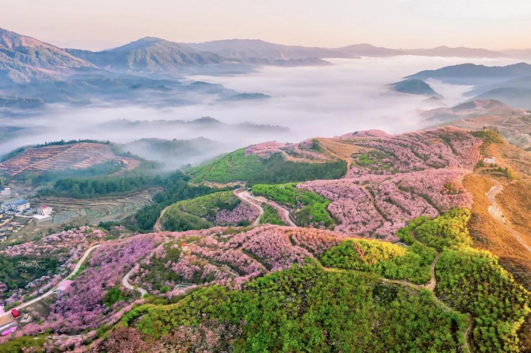 【你可以什么都听，但不要什么都信；人与人的关系就像盐和糖，
看起来一样，但过于信