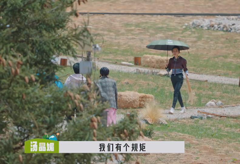 汤晶媚对刚见面的郭麒麟说：我们有个规矩，我们这屋就进来可能得先交点桃花币。大林标