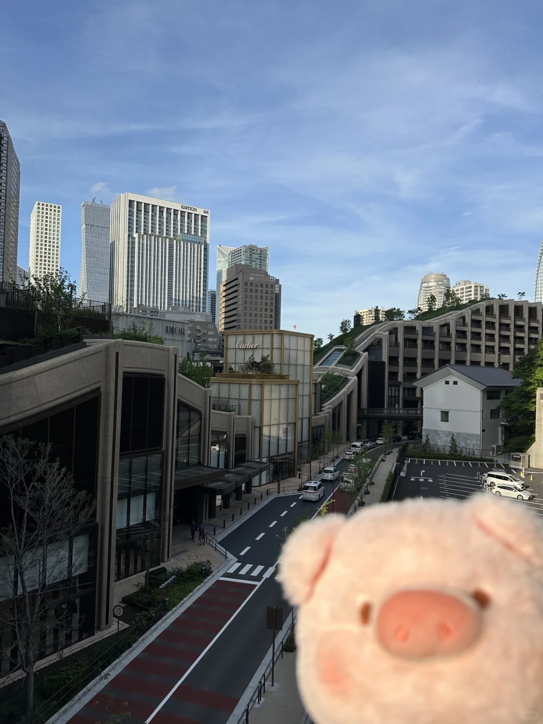 小趴猪游东京4