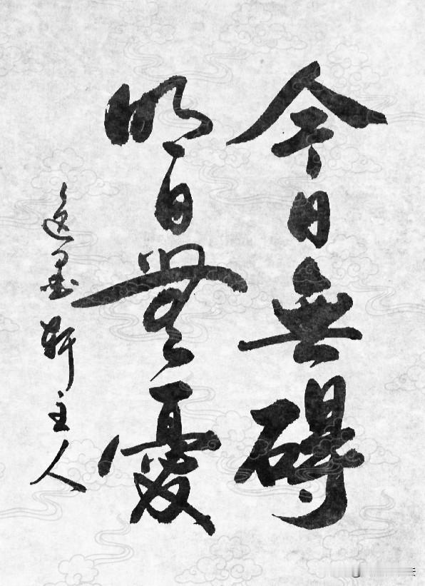 夏日生活打卡季