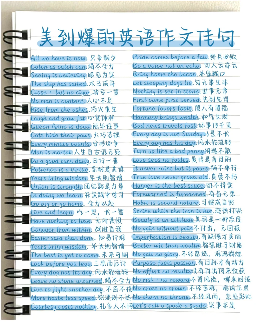 美到爆的英语作文佳句！直接套！阅卷老师超爱