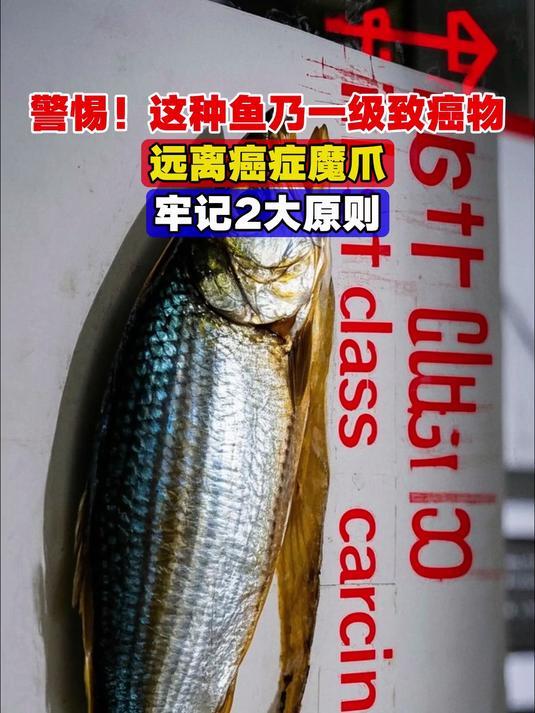 我国癌症高发，都是鱼肉惹的祸？研究发现：真正致癌的是这 3 种鱼

我国癌症高发