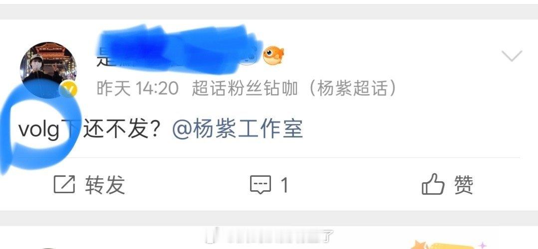 紫米词典上新了 