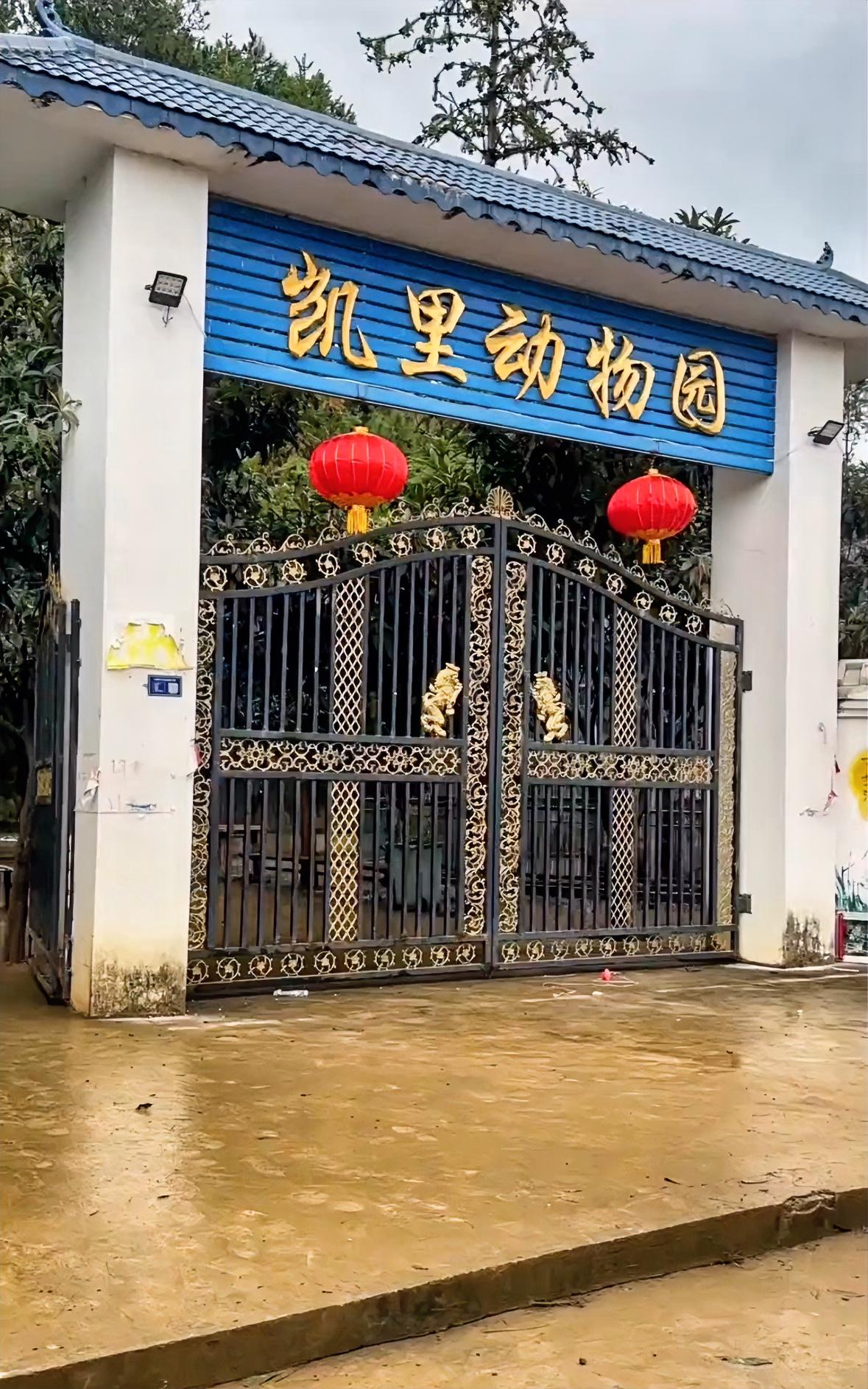 凯里动物园火爆后续园区连夜换新为动物们提升居住环境，园长发言感谢大家关心。

凯