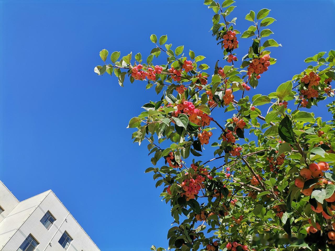 今日份反思：
上午因为一篇微头条审核未通过，我仔细查找了原因，来来回回删减好几次