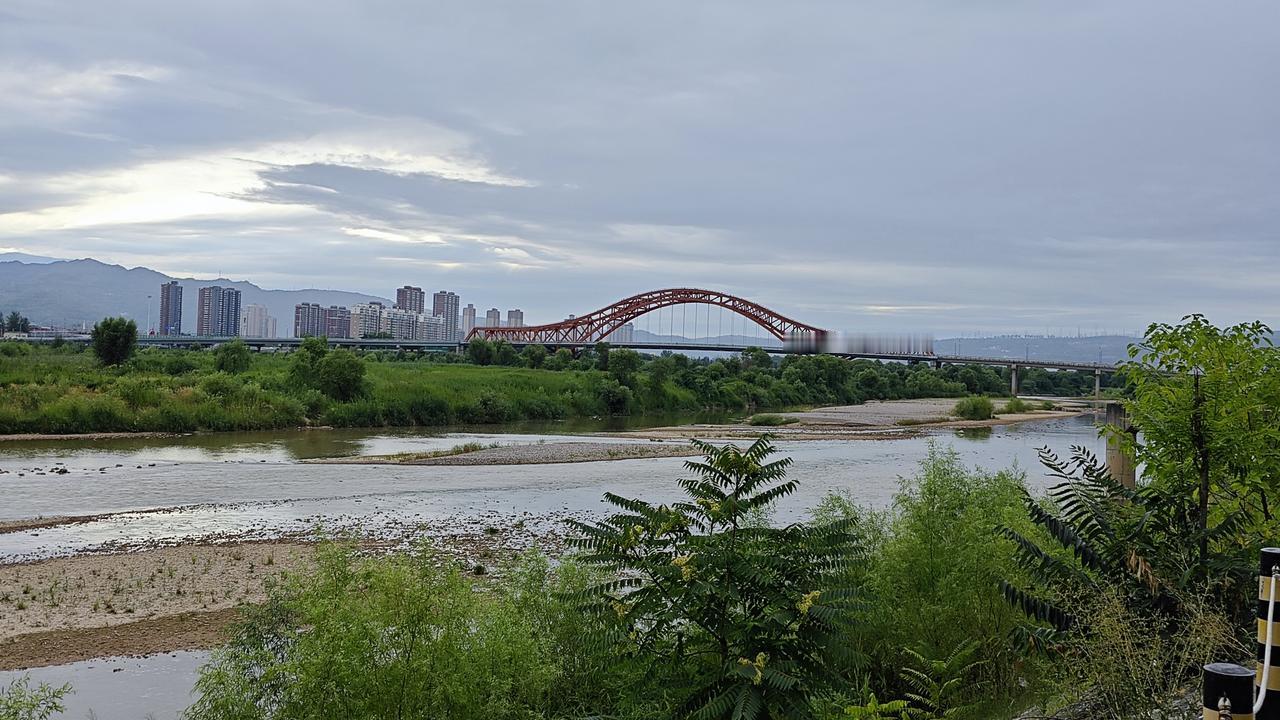 每天我都行走在渭河公园的路上，渭河两岸的景色我闭着眼睛都能想的出。对我而言，它们