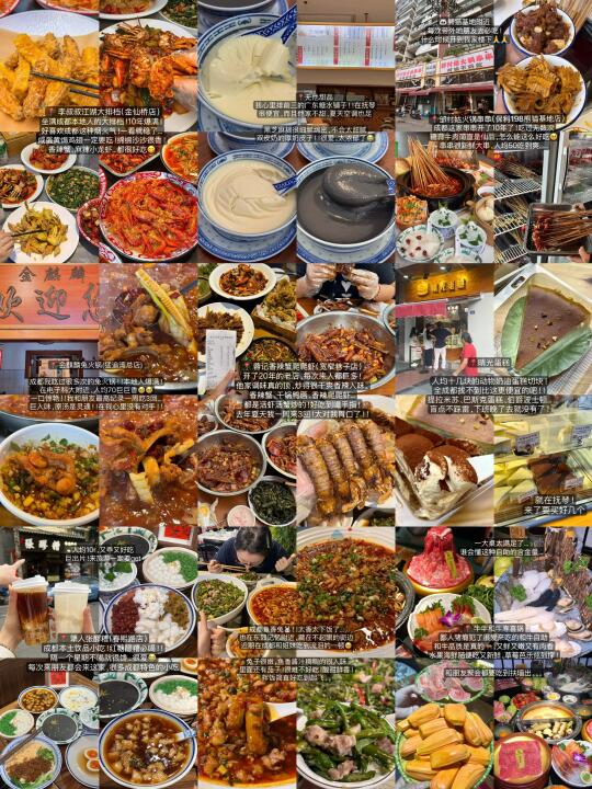 半夜被自己整理的成都攻略满意到睡不着。。。