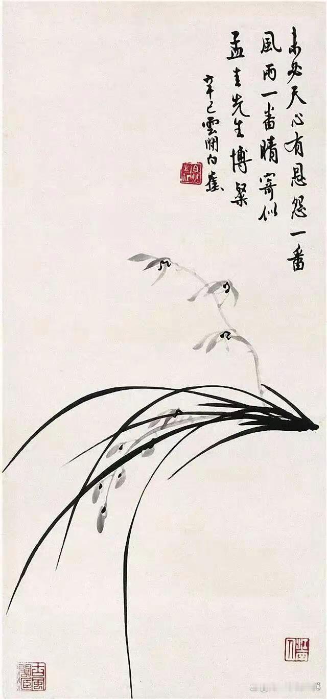 白蕉画兰欣赏